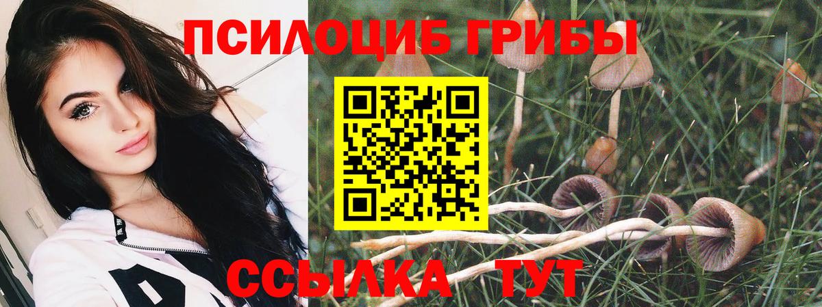 Галлюциногенные грибы ЛСД  Вход с VPN  Ликино-Дулёво 